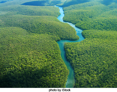 Open source photography of a river in the Amazon Basin.